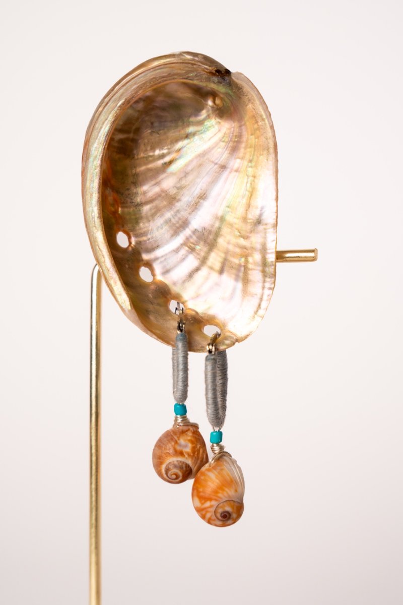 Blue Snail Shell