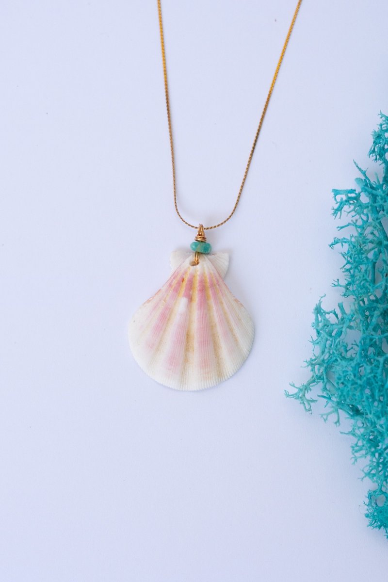 Scallop Grace
